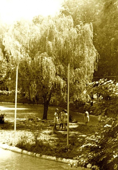 В парке (фото С.Кочнева)