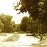 В парке(фото С.Кочнева)