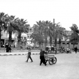 1968г.Сирия. г. Латакия улица с пальмовыми деревьями